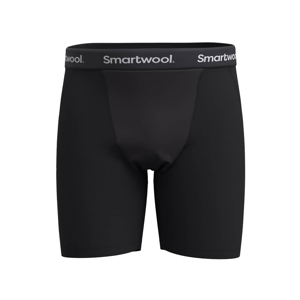 Smartwool Men's Wind Boxer Brief
