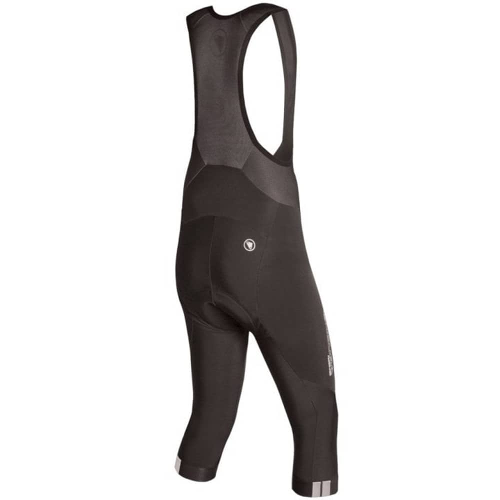 Endura FS260-Pro Thermo Bibknicker in Black - Image 2 of 4