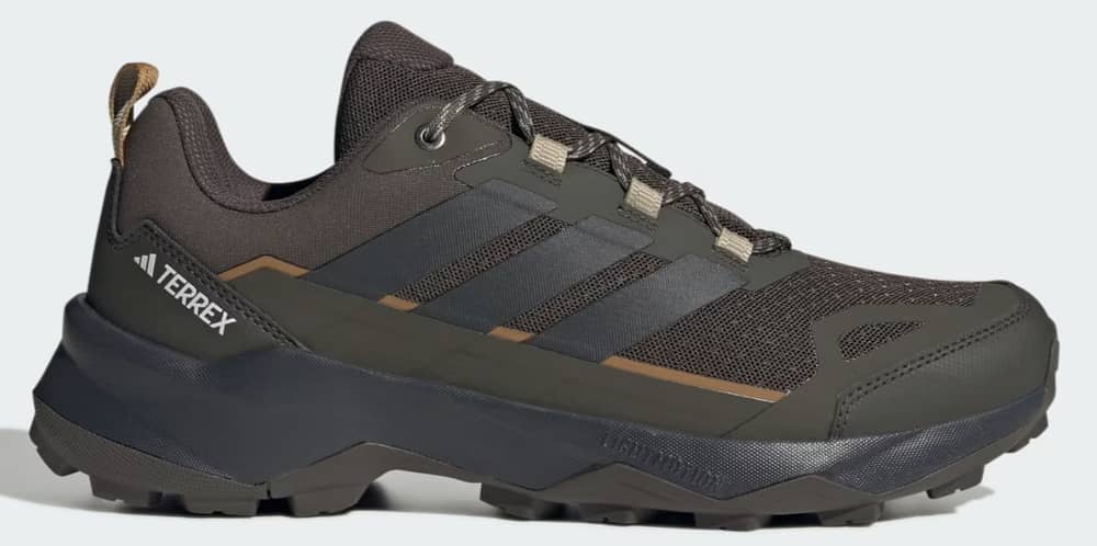 Adidas Terrex Skychaser AX5 Shoes