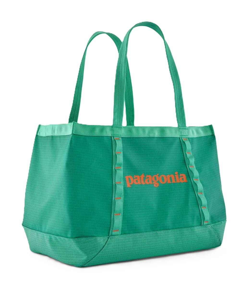 Patagonia Black Hole 25L Tote