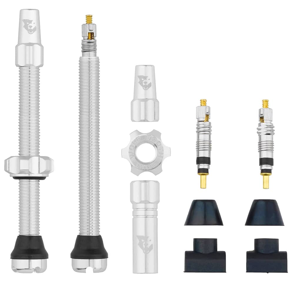 Wolf Tooth Tubeless Valve Stems in Raw Silver - Image 1 of 1