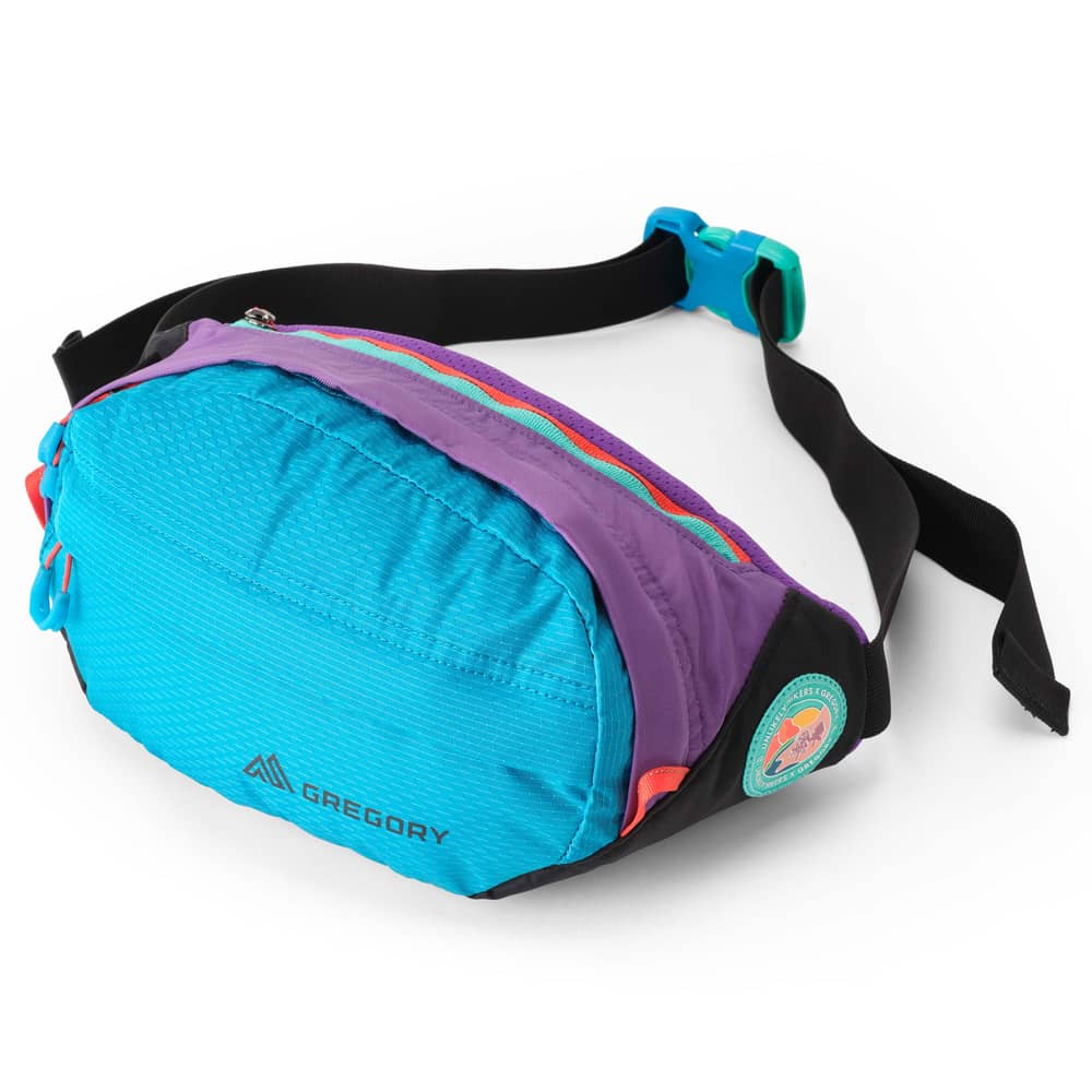 Gregory Nano Waistpack in UH Purple - Image 1 of 2