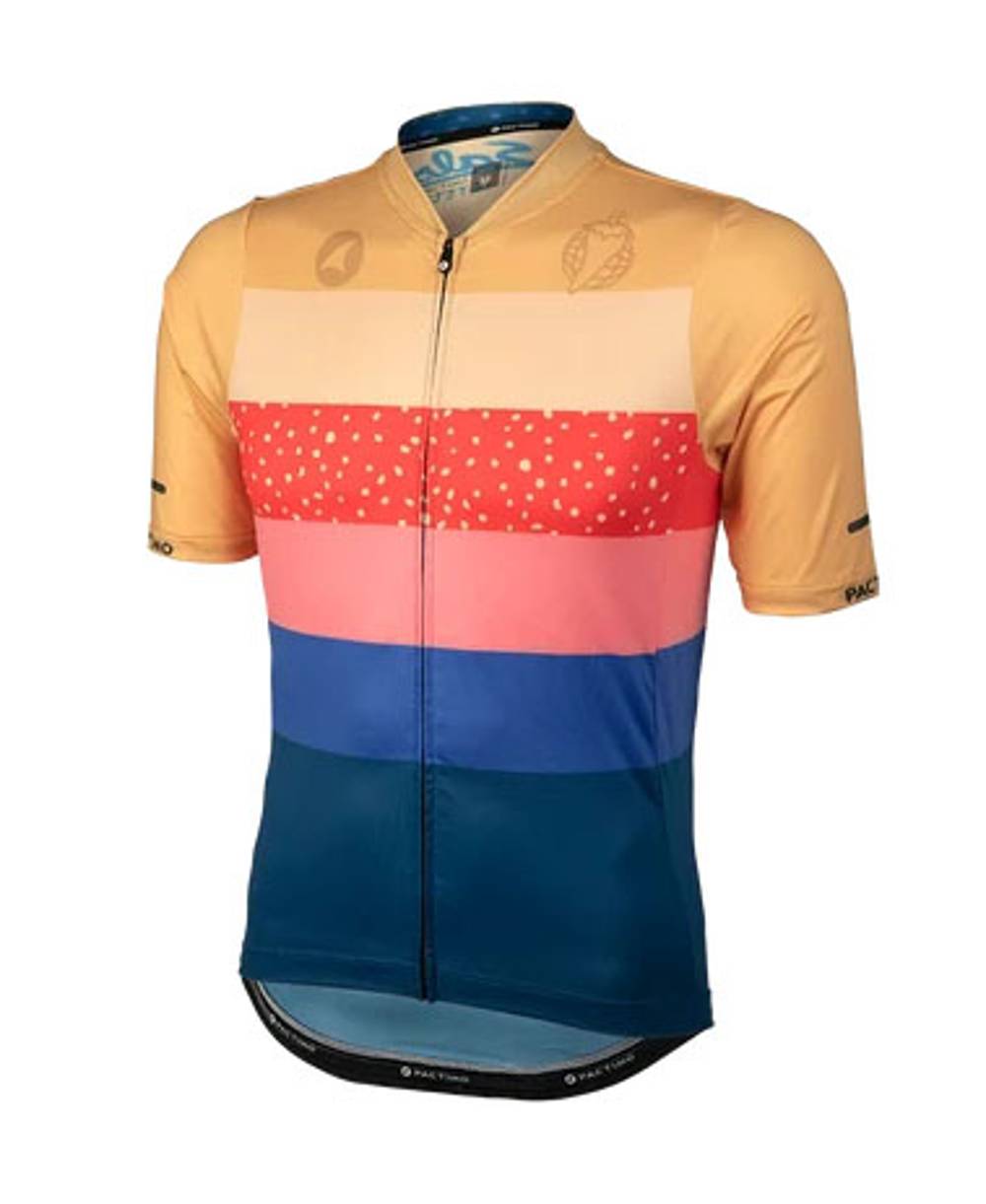 Salsa | Team Polytone Jersey - Men's | Size Small In Goldenrod/dark Blue/stripes | Rubber