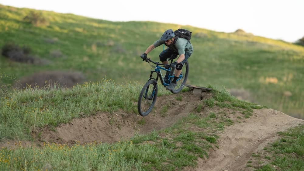 Scott McLean - Image 3 of 6