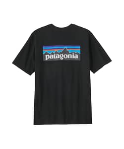 Patagonia Men's P-6 Logo Responsibili-Tee
