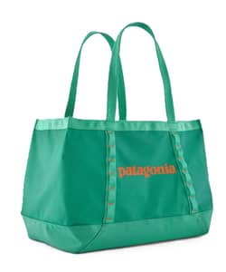Patagonia Black Hole 25L Tote