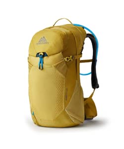 Gregory Juno 24 H2O Backpack
