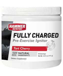 Hammer Fully Charged Pre-Exercise Drink Mix
