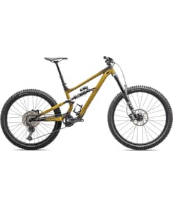 Specialized Status 2 170