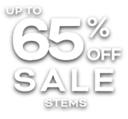 Stems On Sale | SHOP ALL - image over