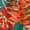 Swatch Image