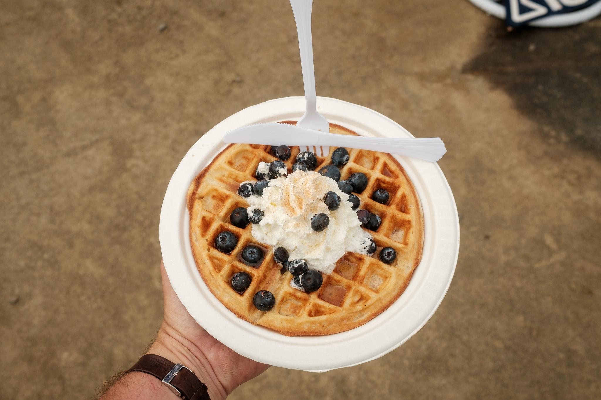 Belgian waffle topped with blueberries and whipped cream on a plate at the BWR finish area.