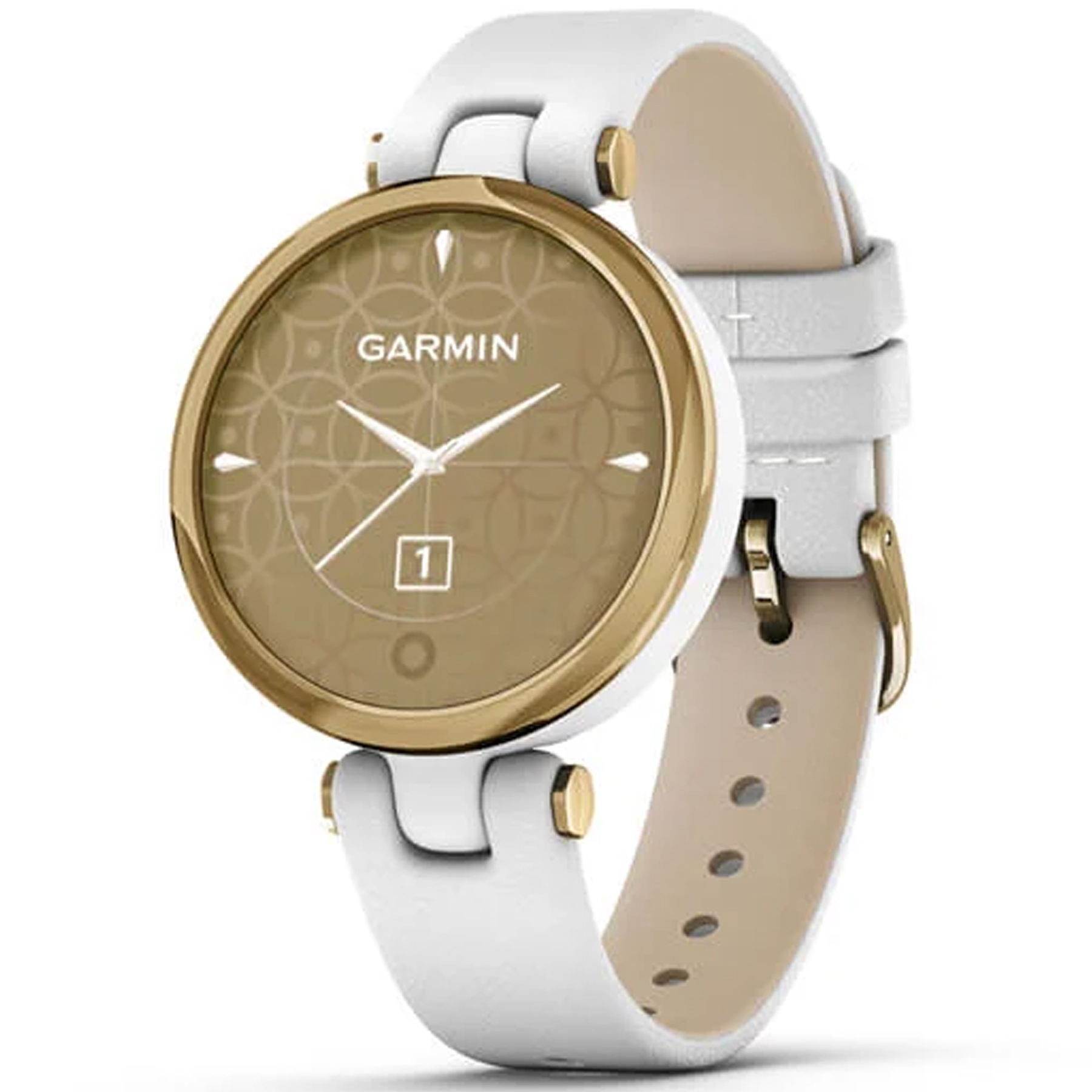 Garmin Lily Classic Smart Watch