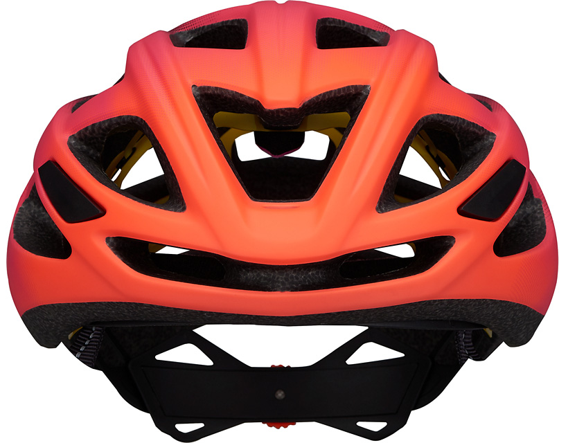 specialized chamonix mips helmet